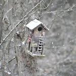 Rue Du Chateau Holiday home